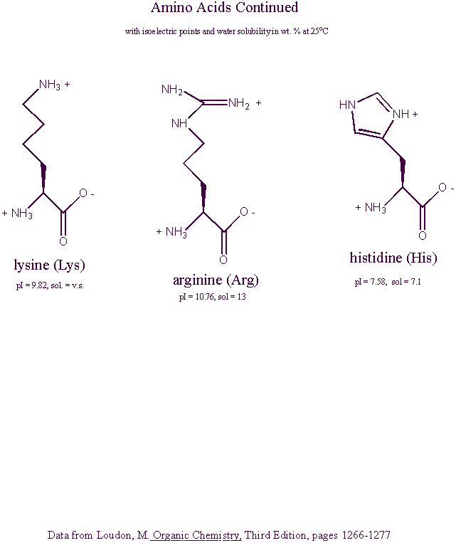 Amino Acid Structures at Physiological pH (continued)