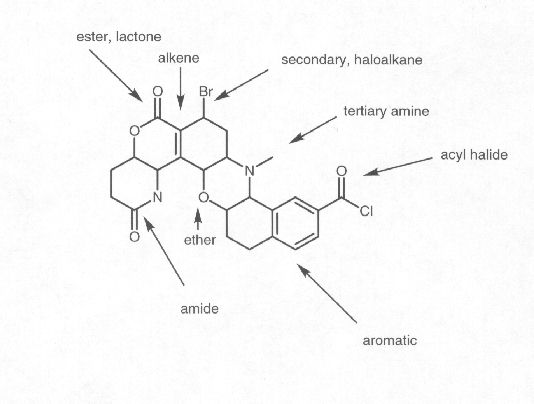 Answers to Functional Group Worksheet