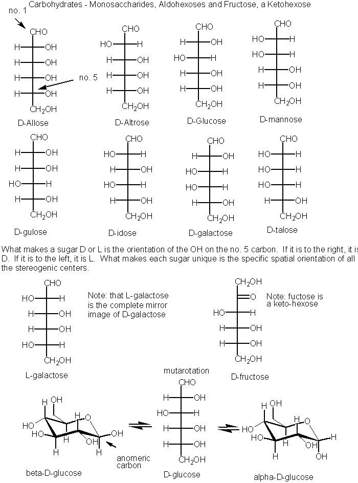 Carbohydrates: Structure of Hexoses and Formation of Hemiacetals