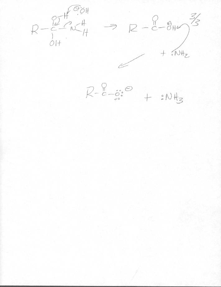 Carboxylic Acid Hydrolysis Derivative Mechanisms