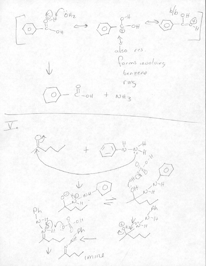 Carbonyl Chemistry worksheet Mechanisms