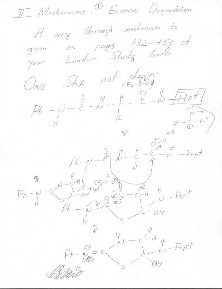 Mechanism: Edman Dehydration