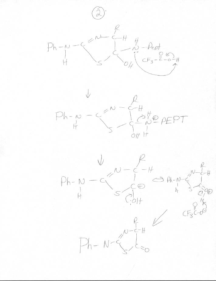 Mechanism: Edman Dehydration