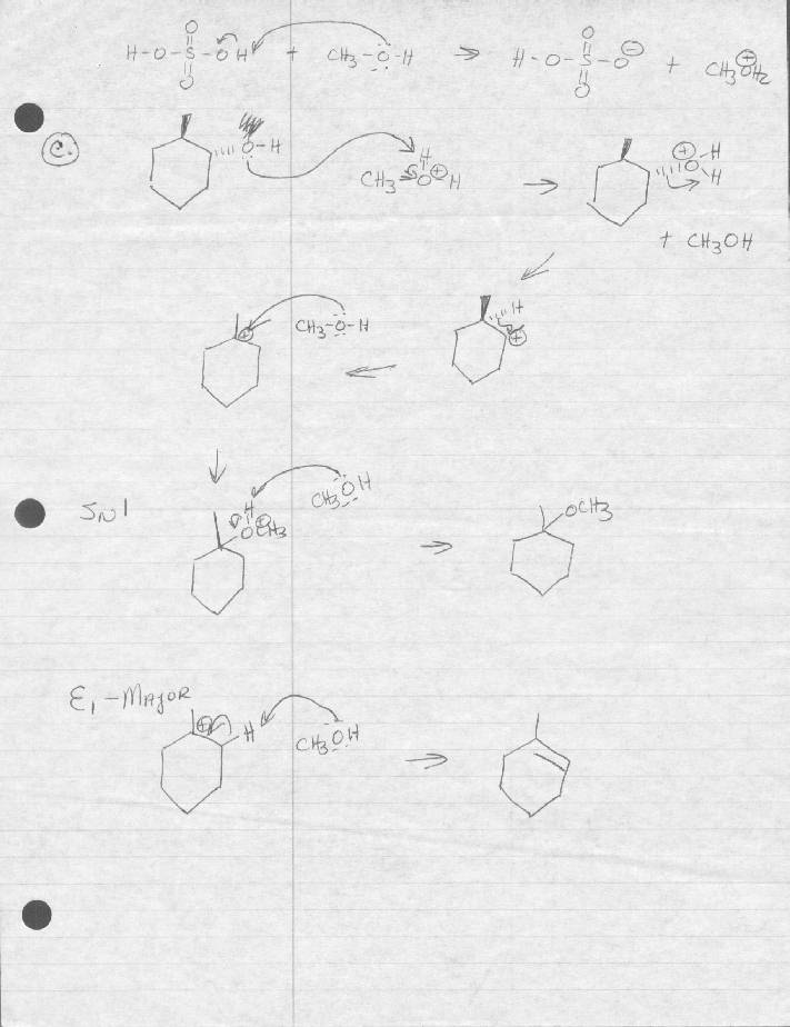 Exam 4