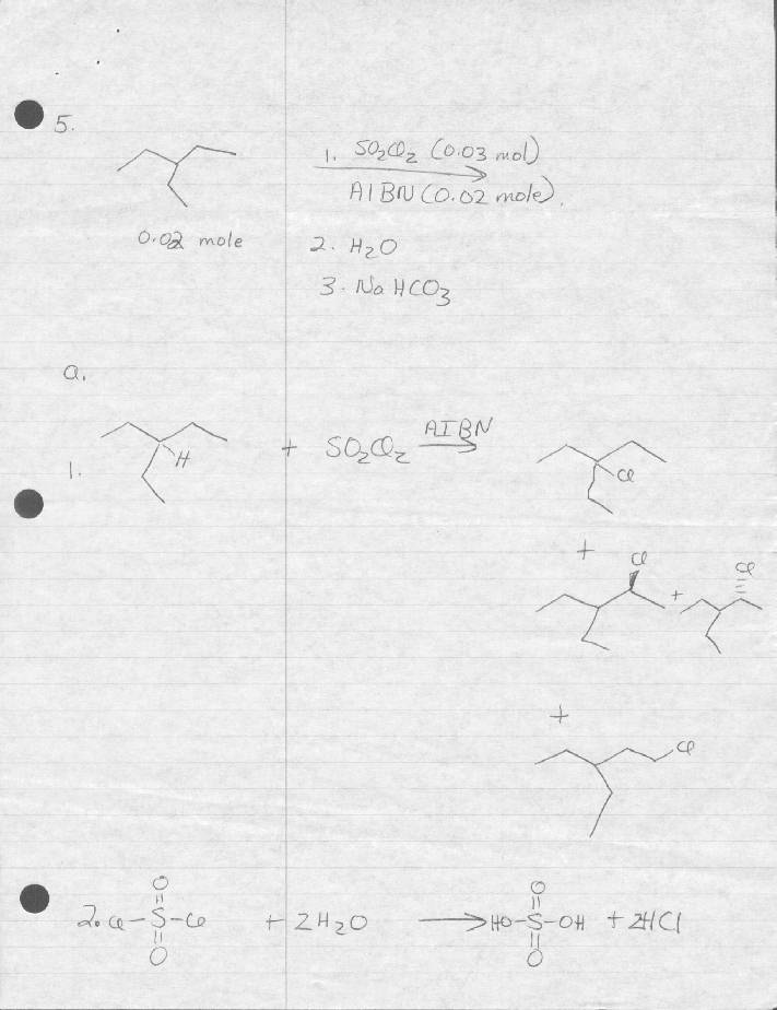 Exam 4