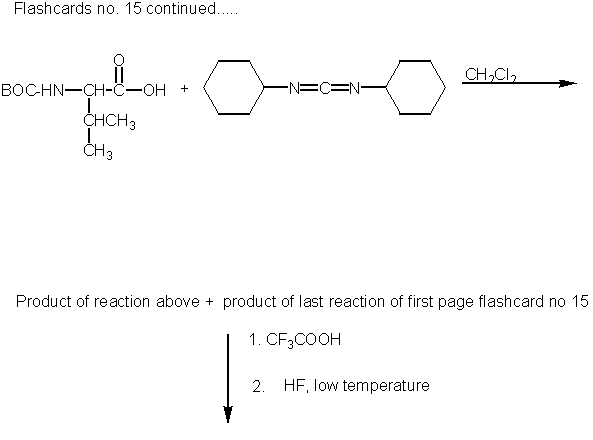 Flashcards 15 - Reaction