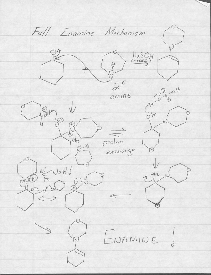 Mechanism for trapping the vinylcation in the sysnthesis of progesterone