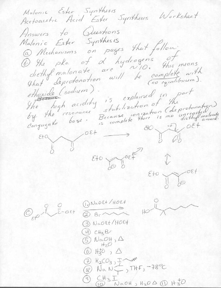 Malonic Ester Synthesis Acetoacetic Acid Ester Synthesis