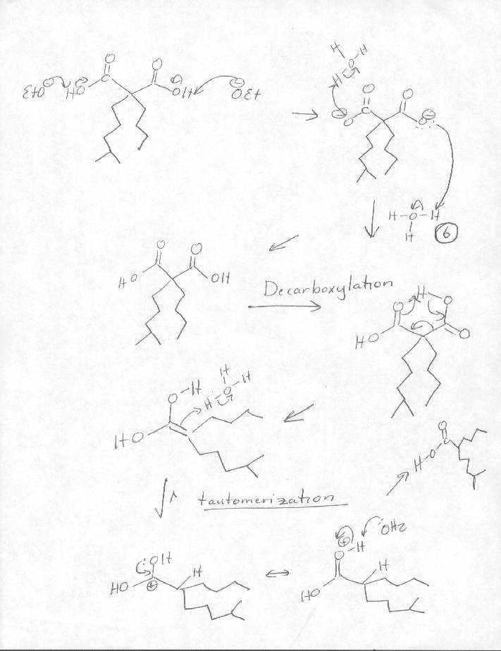 Malonic Ester Synthesis Acetoacetic Acid Ester Synthesis