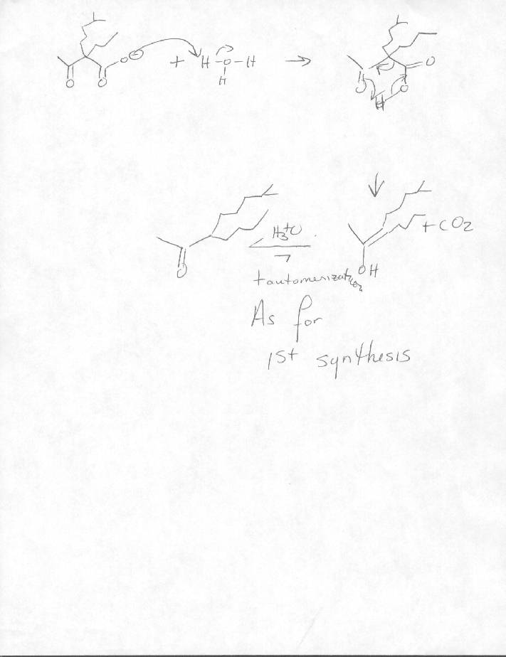 Malonic Ester Synthesis Acetoacetic Acid Ester Synthesis