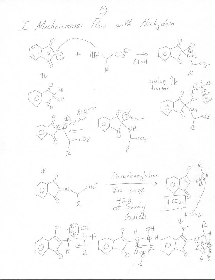 Mechanism: Reaction of Amino Acids with Ninhydrin